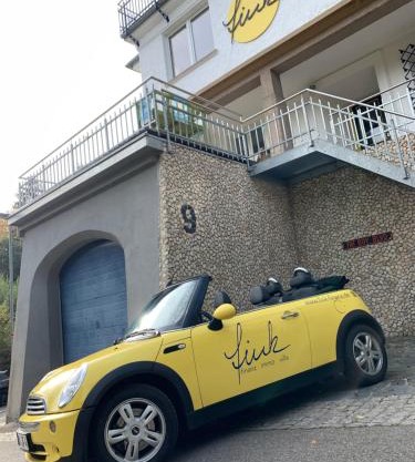 Villa Fink