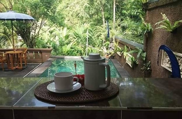Villa in Ubud. #3 Bedroom Private Pool.