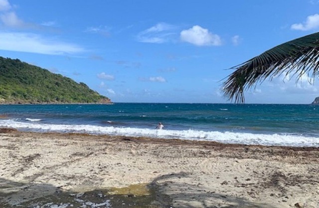 Villa kabri terre de bas: breathtaking view of the bay of Les Saintes