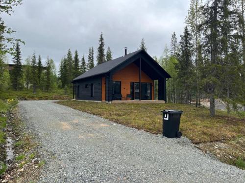 Villa Luokka, Iso-Syöte