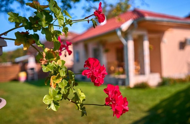 Villa Simida