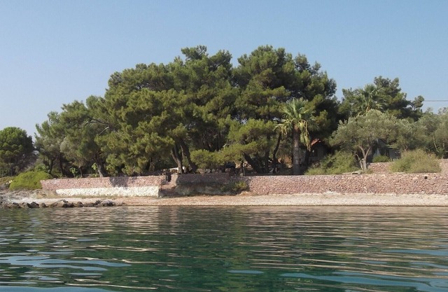 Villa surrounded by 8000 m2 olive groove, under pine trees, on waterfront