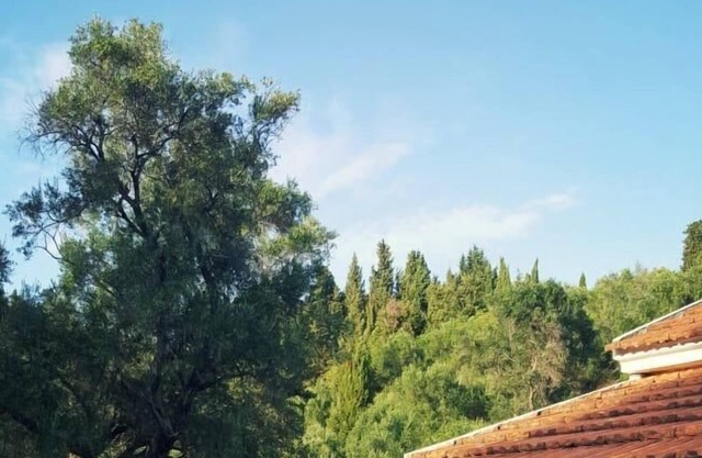 Villa with a private pool Afionas Corfu
