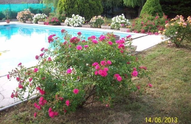 Villa with private pool