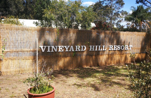 Vineyard Hill