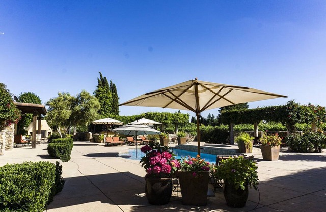Vineyard Poolside King Studio with Private Entrance
