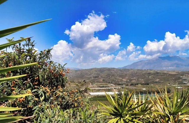 Viñuela Hideaway - Your Mountain Studio with Kitchen & Pool