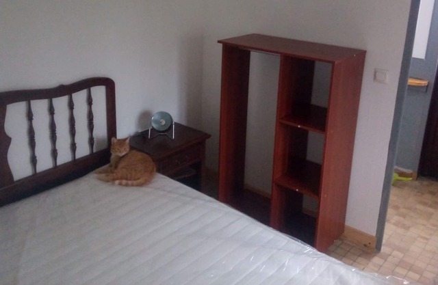 Vrbo Property
