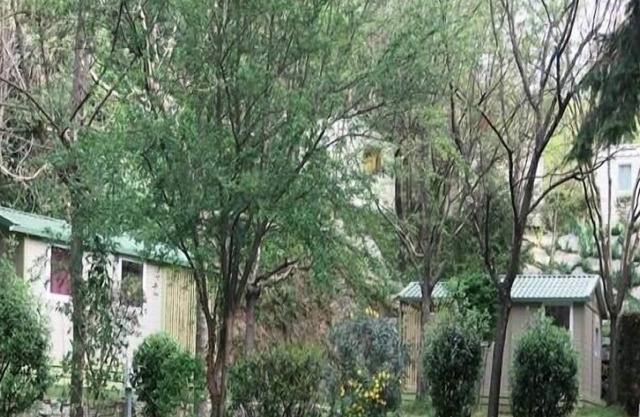 Vrbo Property