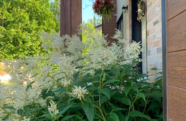 Warm Boho Chalet | Hot Tub | Lake | Fireplace | AC