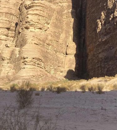 Wadi rum fasial camp