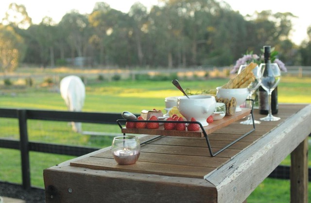 Wagtail Nest Country Retreat - Longford Vic 3851