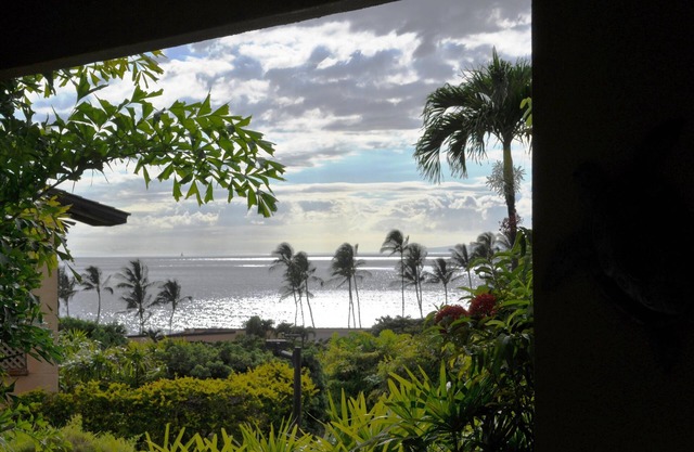 Wailea Ekahi 1B Recently Remodeled Ocean View 1st Floor Luxury 1BD 2BA Condo