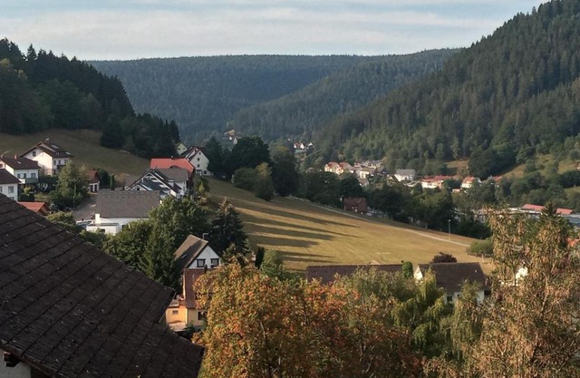 Waldblick