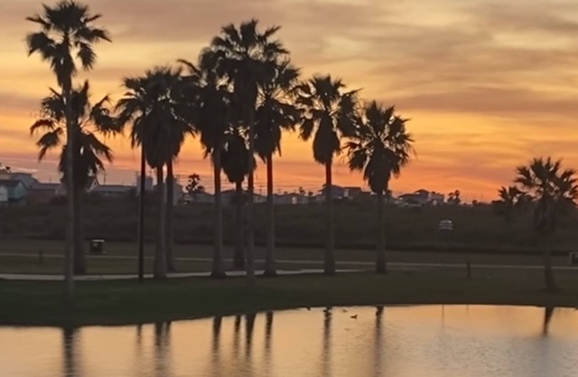 Walking distance to beach! Great pool!