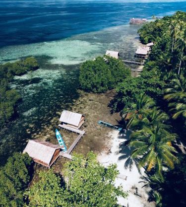 Walking Shark Guest House