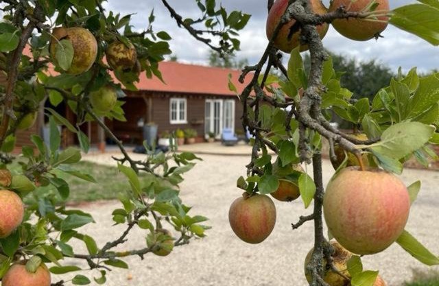 Walnut Tree Cottage Barn