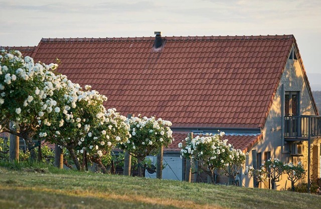 Wandin Valley Estate