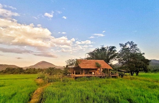 Wanmai Farm Stay Muangkong วันใหม่ฟาร์มสเตย์ เมืองคอง เชียงดาว