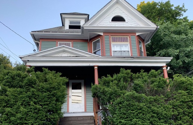 Warm and spacious Kingston Victorian