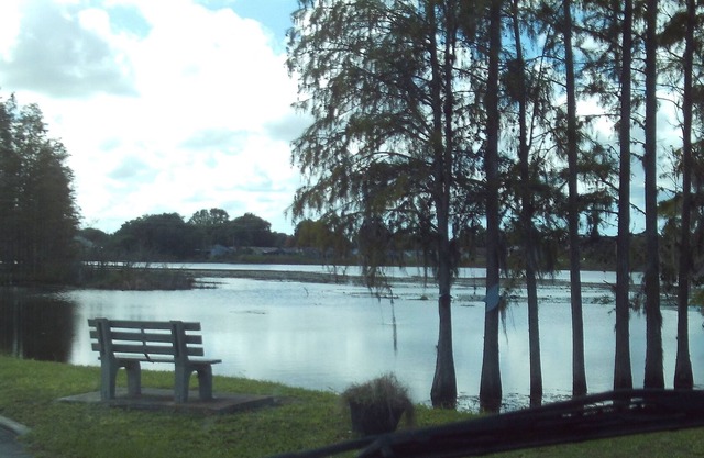 Warm Winter Vacation with Lots of Activities, Clean, Well Maintained with Charm