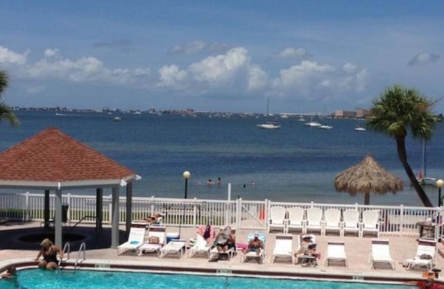 Watch Dolphins Play From the Couch . Free Boat Inc . Best Condo in St.Pete . JG