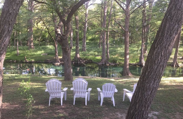 Water Front, Cypress Creek.spring fed and flowing. Pets Welcome