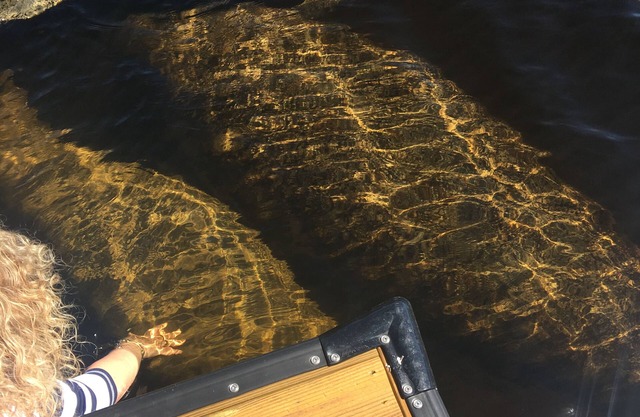 Water on 3 sides-1/3 acre! Gulf access fishing boating relaxing.