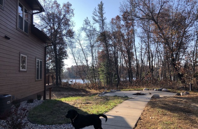 Waterfront, 3 acres, forest, 30mins toDells, firepit, basketball, private trails