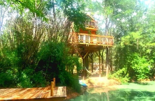 Waterfront Treehouse In A Magical Forest!