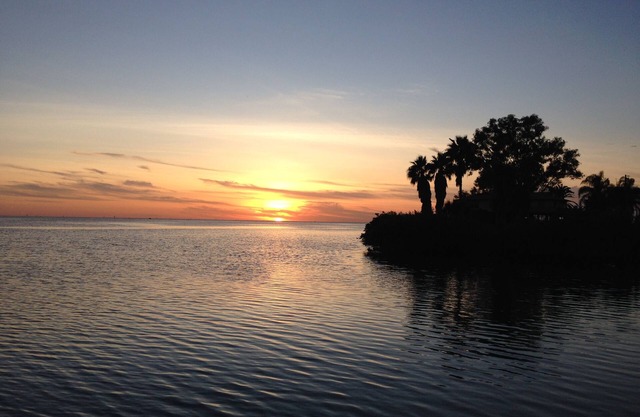 Waterfront Tropical Paradise With A Spectacular Gulf View & Pet Friendly!
