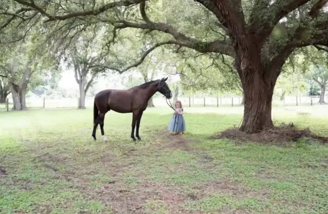 ⭐️Wedding&Event⭐️Content House⭐️ Family&Couple Retreat⭐️Horse Lover’s Dream⭐️