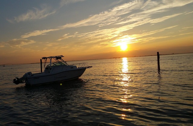 Weekends, midweeks and full weeks available! Steps to Beach, town and ferries!