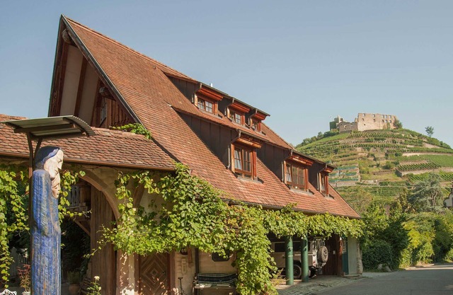 Weinloft Staufen - Holiday apartment