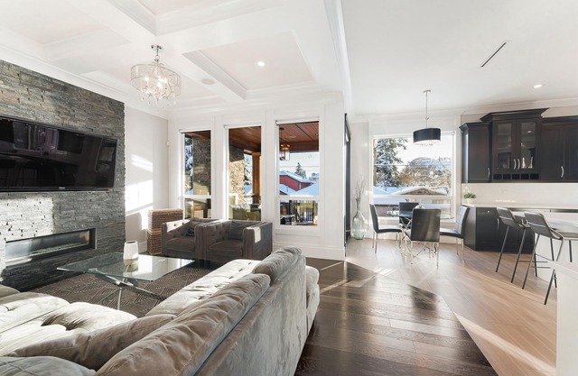 Welcome to the Bold and Modern!