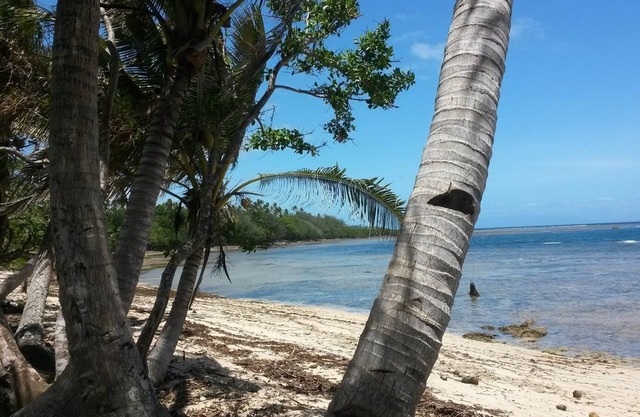 Welcome to the Breakers at Maravu lagoon.