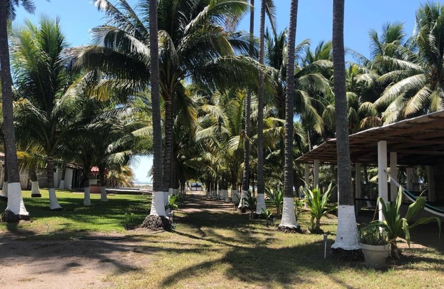 Welcome to the Coconut GrovenBeach front Property