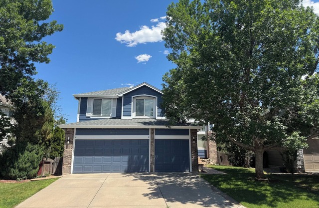 Welcoming huge basement with 1 bed and private kitchen and bath with in Parker