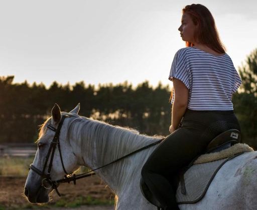 White Pony agroturystyka i stajnia