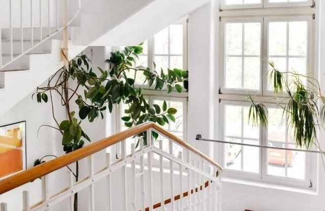 WHLIVING - Apartments & Studios