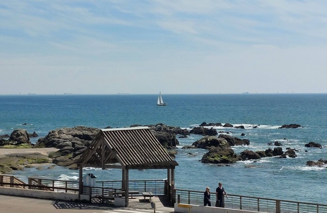 Wild coastline, exceptional sea view, close to shops and TGV station