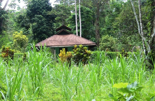 Wild nature - 300 m from the beach 5 person house.