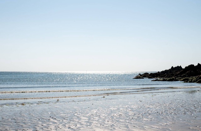 Wild Rose Cottage - a cottage that sleeps 4 guests in 2 bedrooms