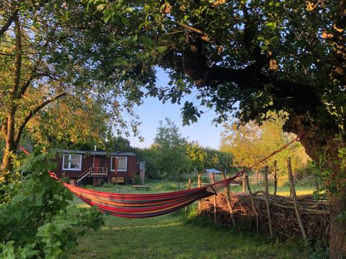 Wilde Möhre Bauwagen Sommerküche Draussen Abenteuer