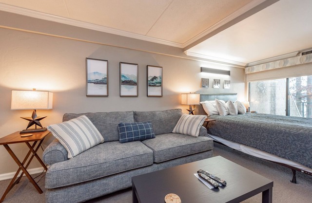 Will O' The Wisp 206A: Lakefront Efficiency Condo, Indoor Pool Access!