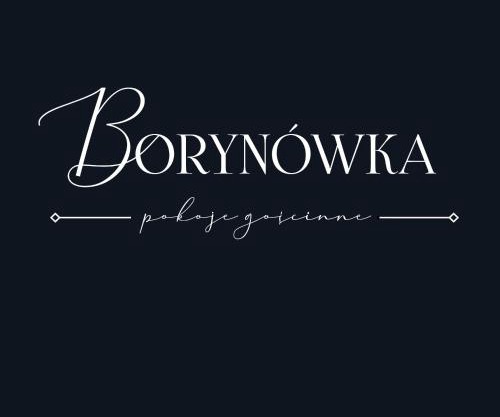 Willa Borynówka