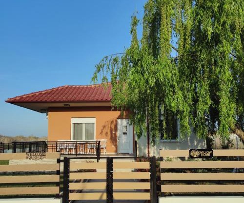 Willow Home
