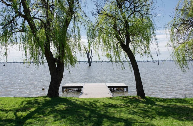 Willow on the Waterfront