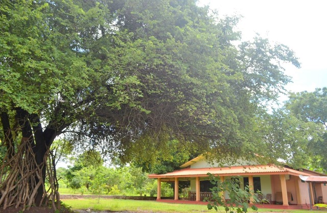 Wilpattu Dilsara Holiday Resort