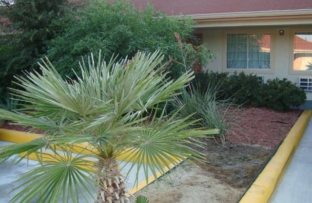 Winnquest Inn Near Ft. Sam Houston